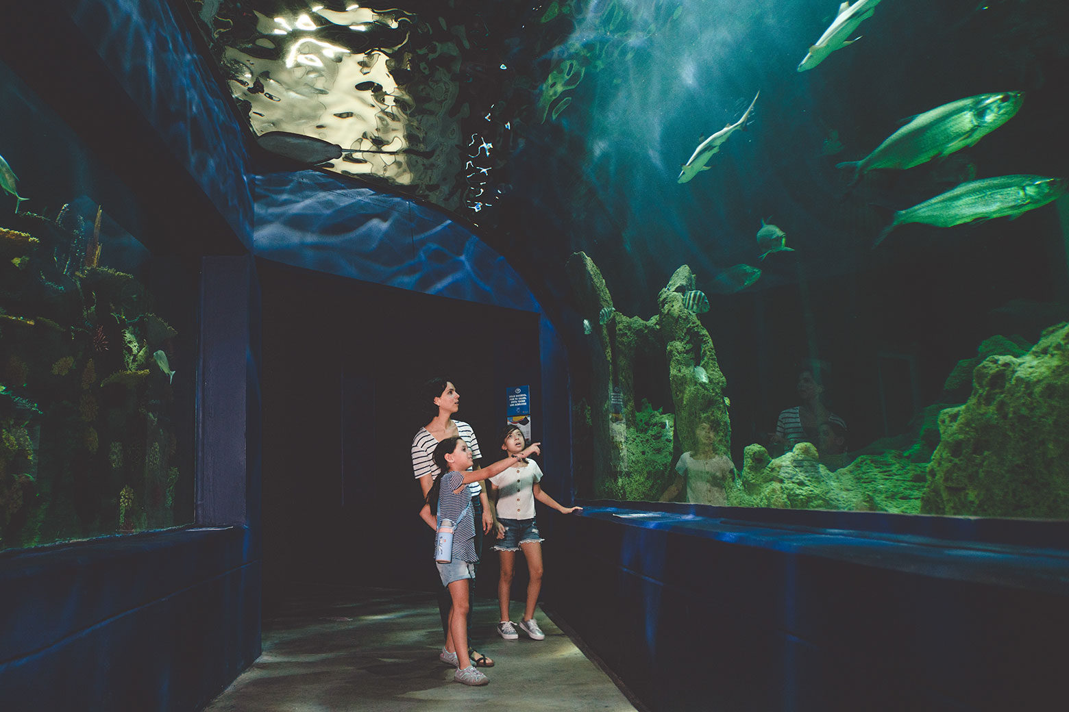 Interior of Ripley’s Aquarium Gatlinburg.