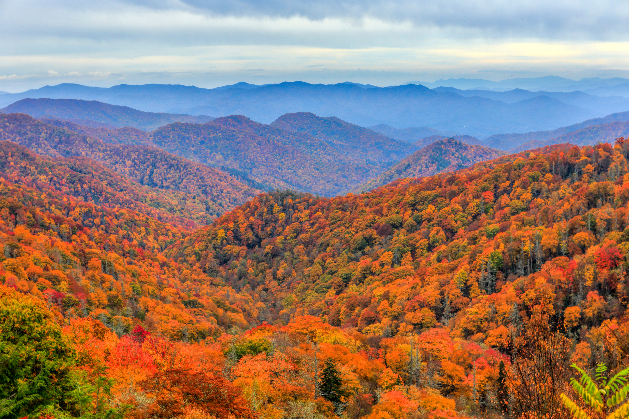 Fall foliage in the Great Smoky Mountains.